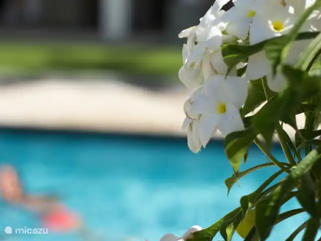 Fitness, Curazao, Banda Arriba (este), Vista Royal, apartamento  Apartamento privado de lujo + piscina #4