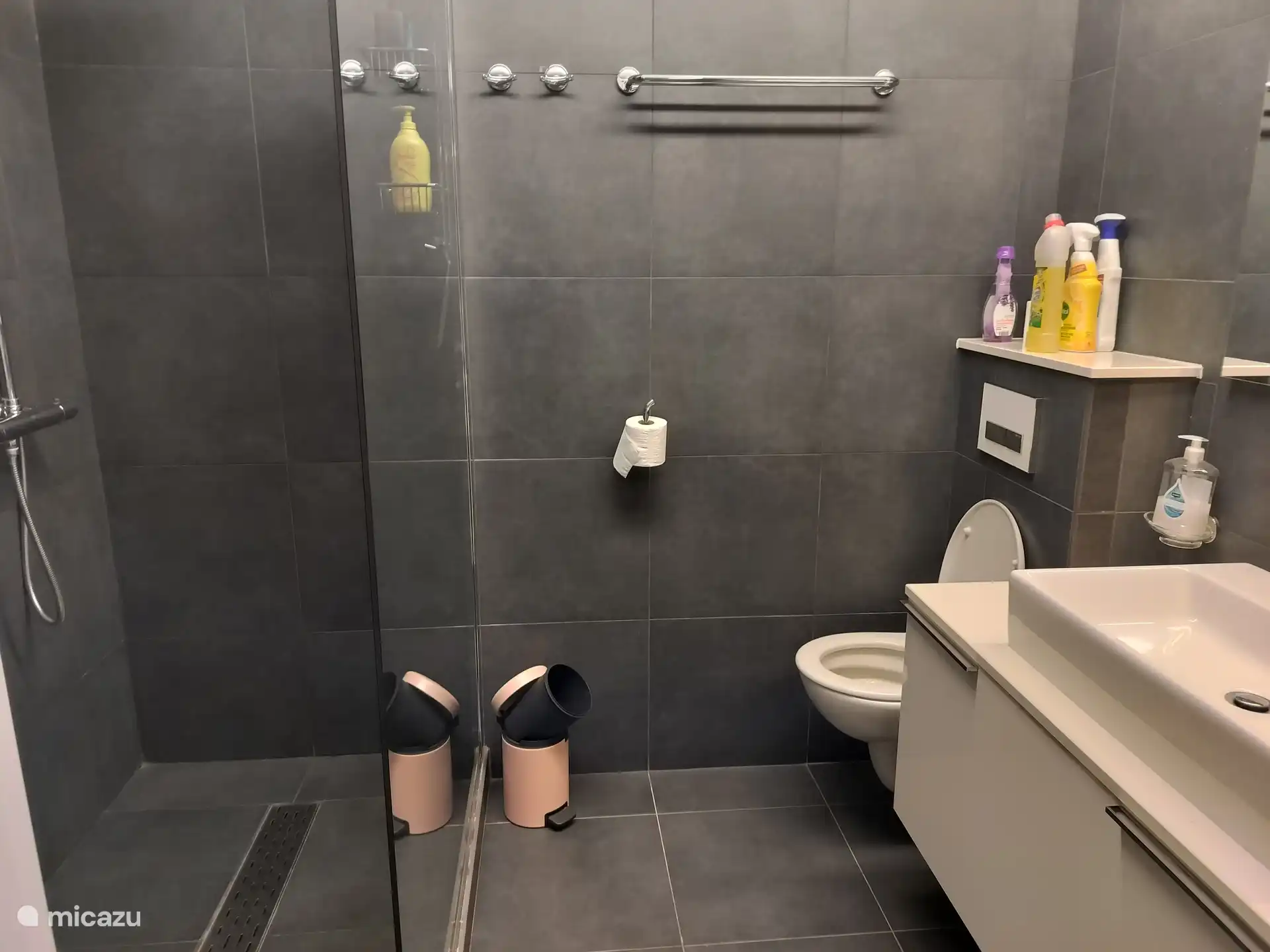 badkamer met extra WC en inloopdouche, douchegel handzeep en kuisprodukten.