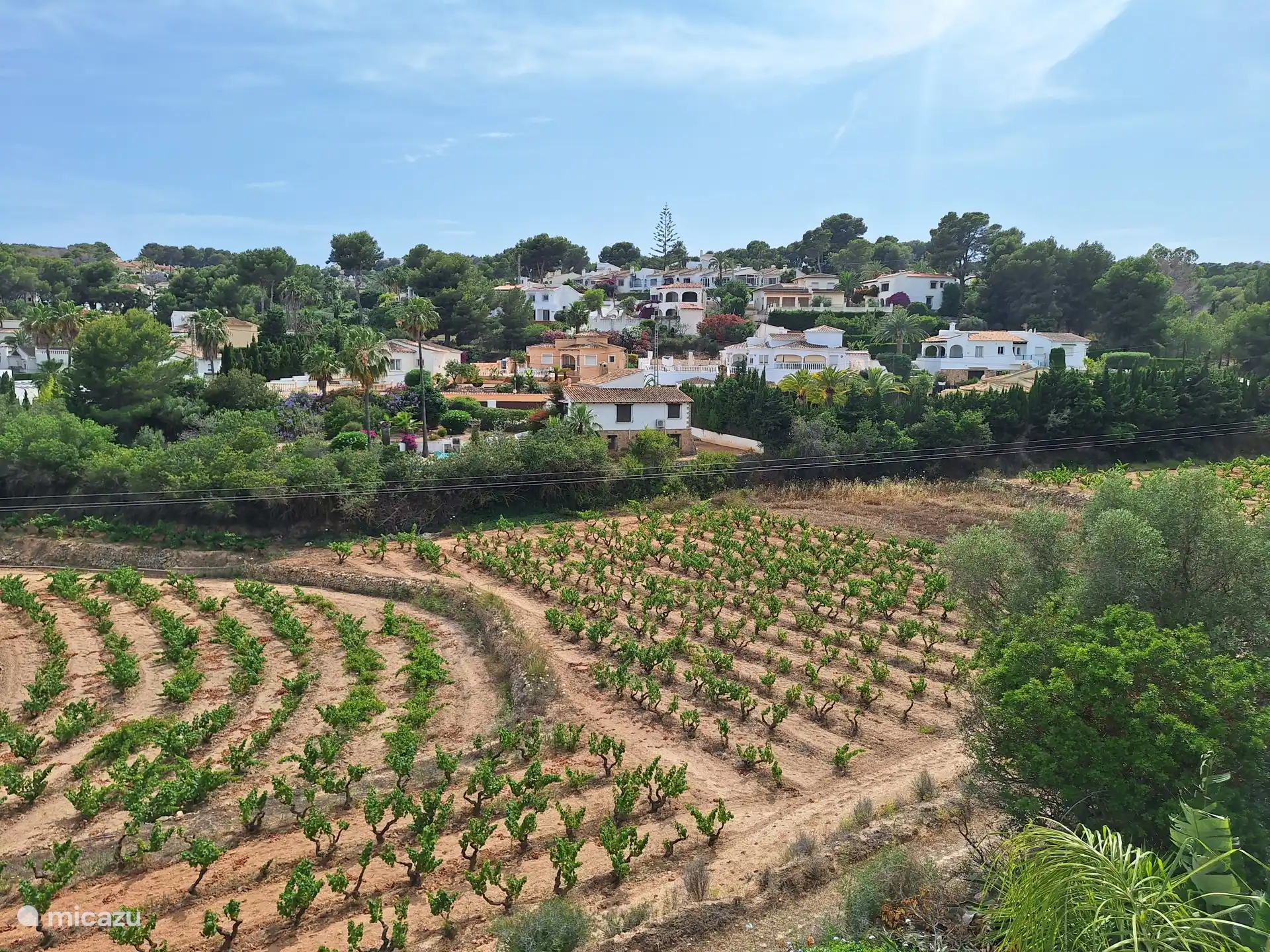 Blick von hinten von Naya