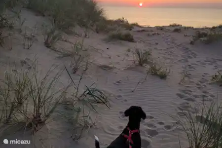 Magnifiques couchers de soleil