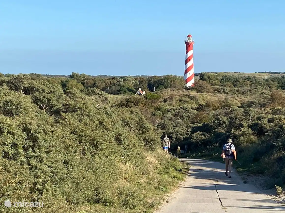Chemin à travers les dunes jusqu’à l’appartement