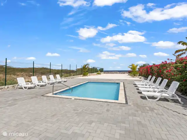 Punta Azul 12A Ocean resort  en Curazao, Bandabou (oeste), Lagun - apartamento Piscina junto al mar: disfrute de un refresco con vistas al horizonte infinito.