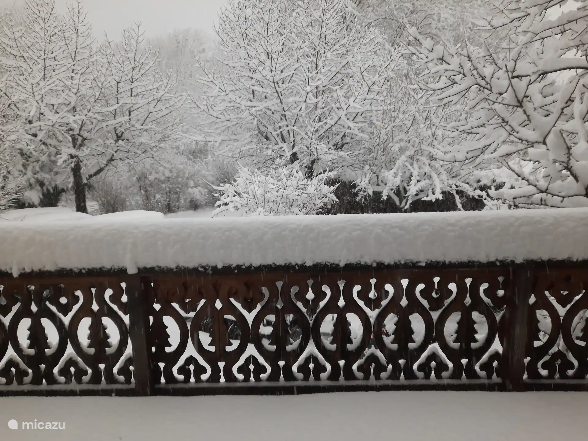 Wintersemester 2024-2025