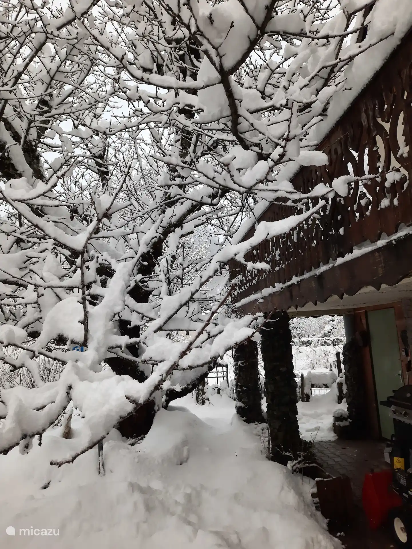 Wintersemester 2024 -2025