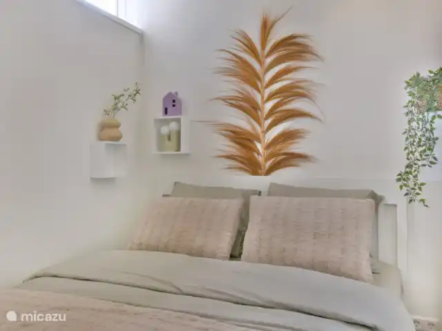 City Appartement Alkmaar huren in Nederland, Noord-Holland, Alkmaar - appartement