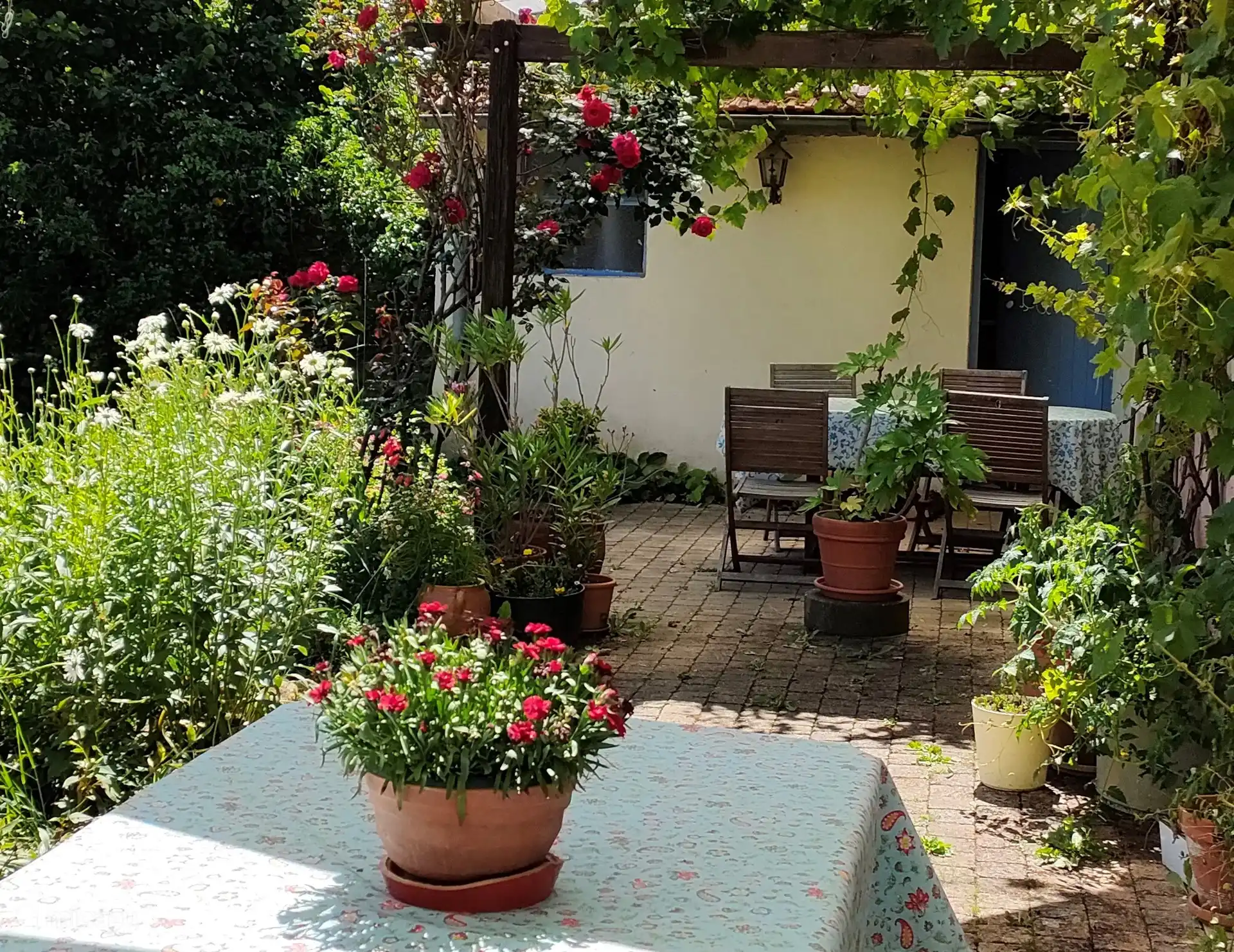 Terrasse hinter dem Haus