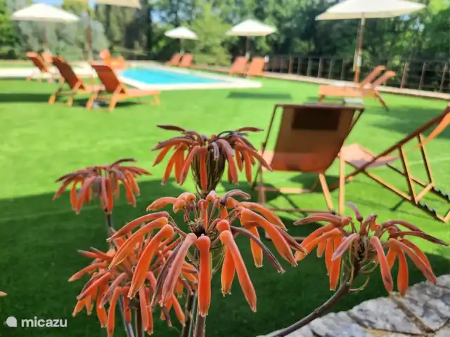 Vue sur le Vallon | France, Dordogne, Castelnaud-la-Chapelle - maison de vacances Mare