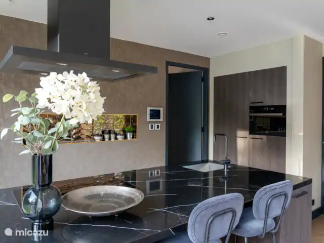 Location de Vacances Pays-Bas, Brabant-Septentrional, Oosterhout, villa - Villa Bergvliet Blanc