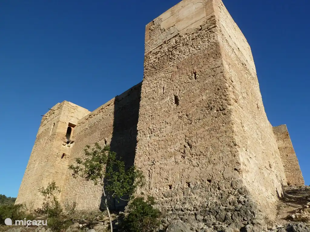 Das Schloss von Forna