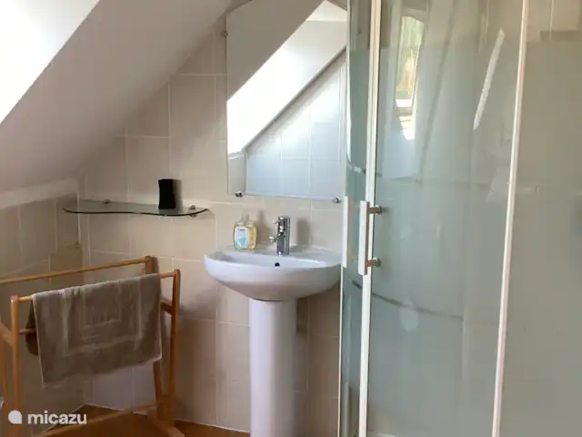 Cherry Tree Cottage con piscina climatizada en Francia, Bretaña, Canihuel - casa rural / cabaña Cuarto de baño con ducha