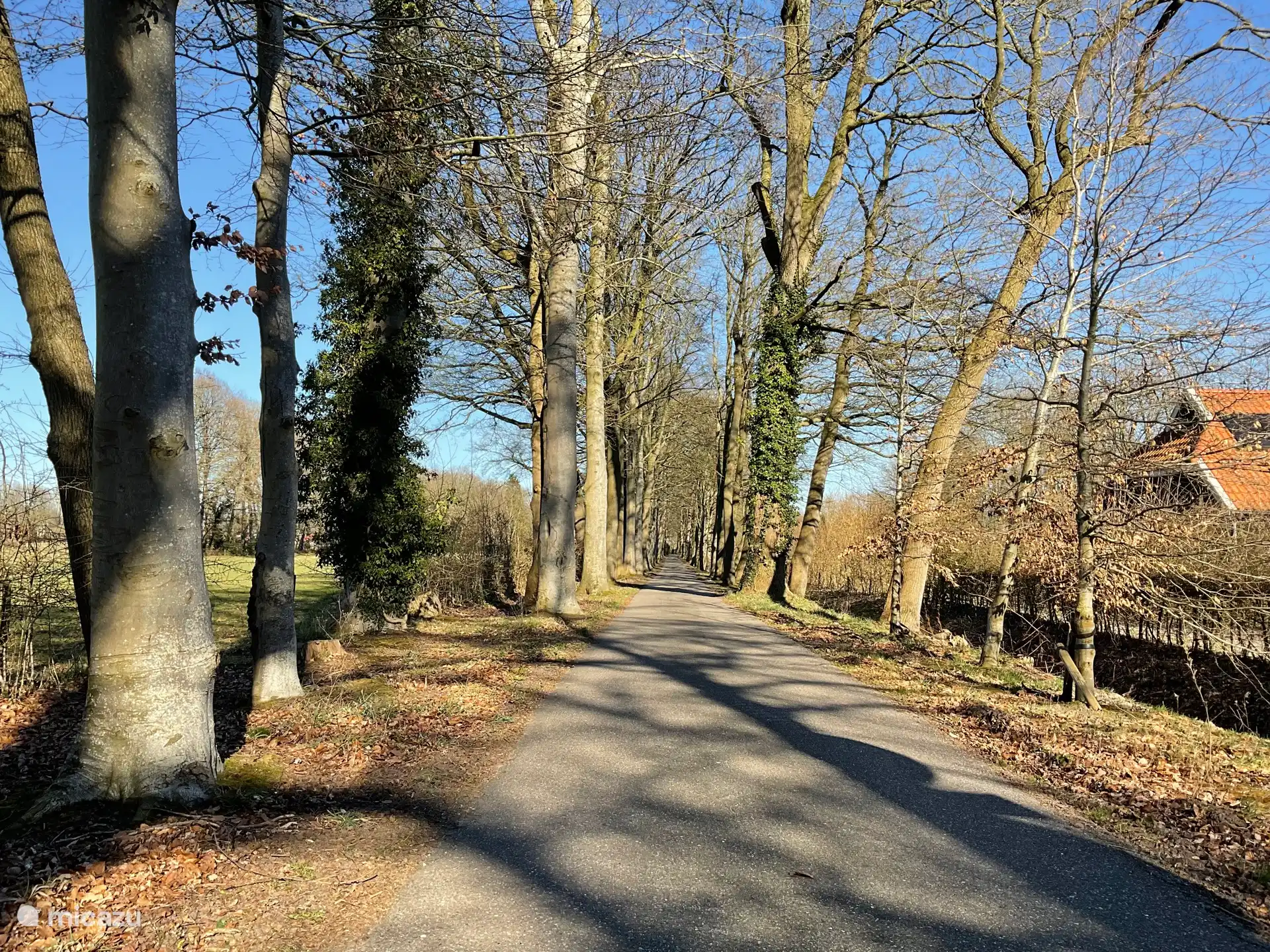 Access to the estate