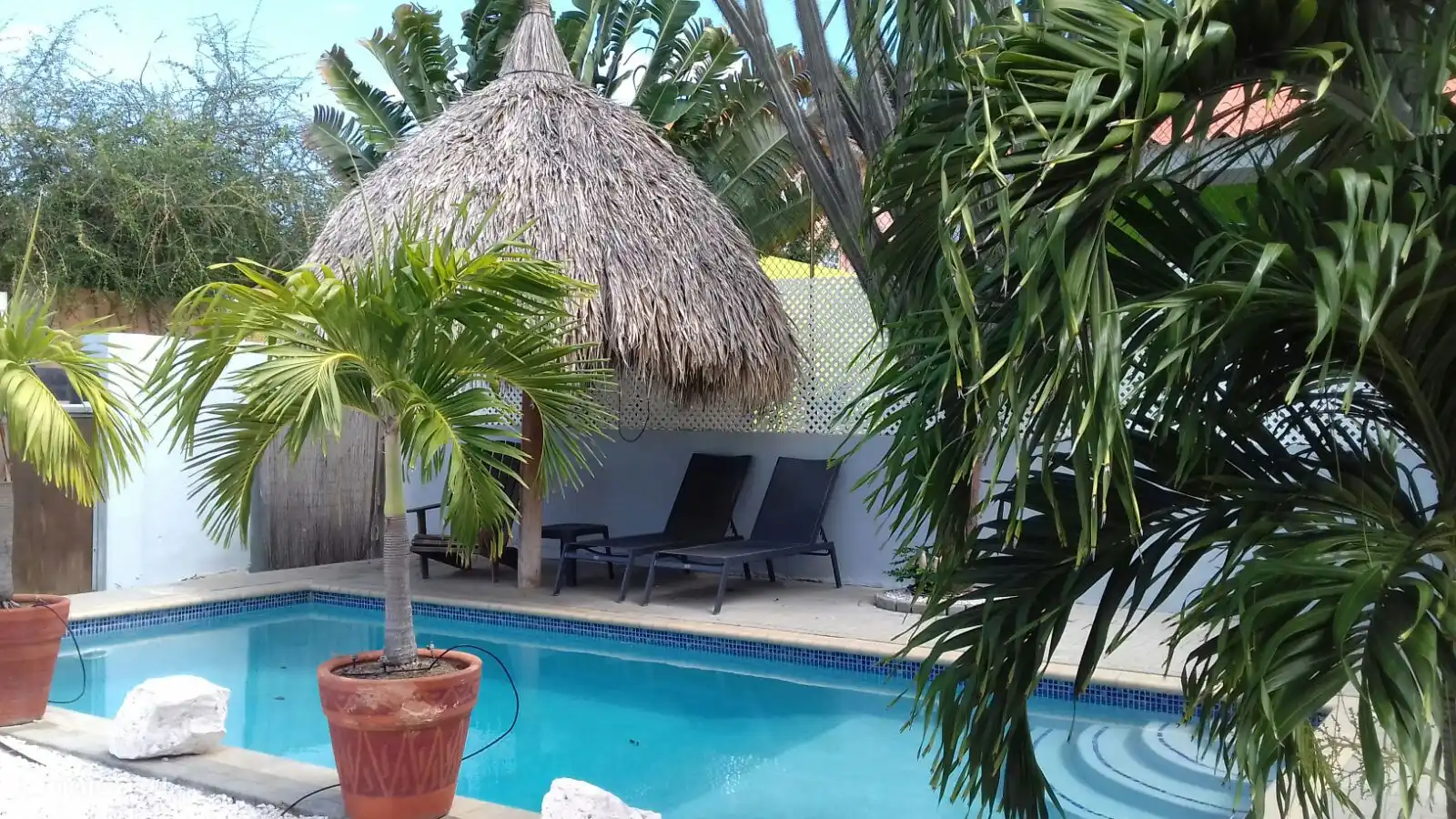 Disfruta de la piscina