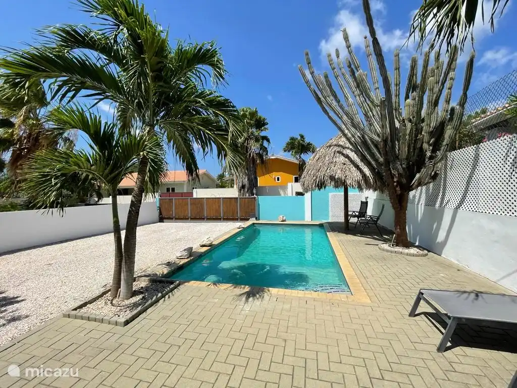 ¡El cactus está allí antes de que estuviera la piscina!