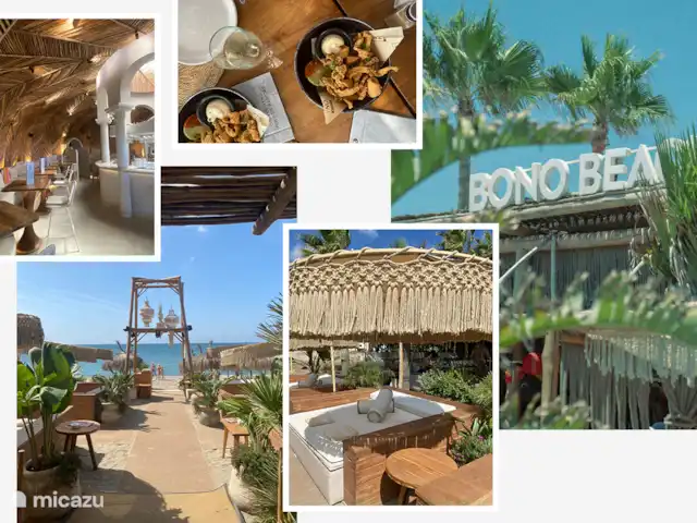 JaspersMarbella huren in Spanje, Costa del Sol, Marbella - vakantiehuis Strandtent Bono Beach op 100 meter afstand