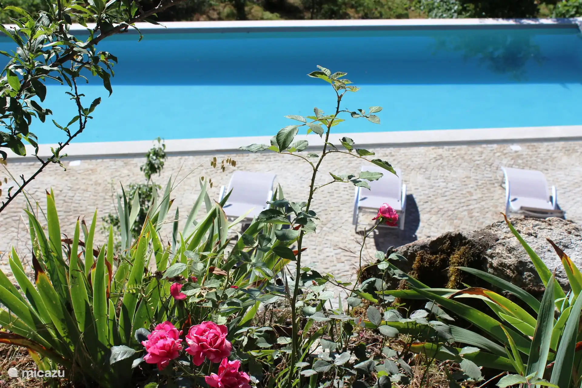 Salzwasser-Schwimmbad 12 x 4 Meter