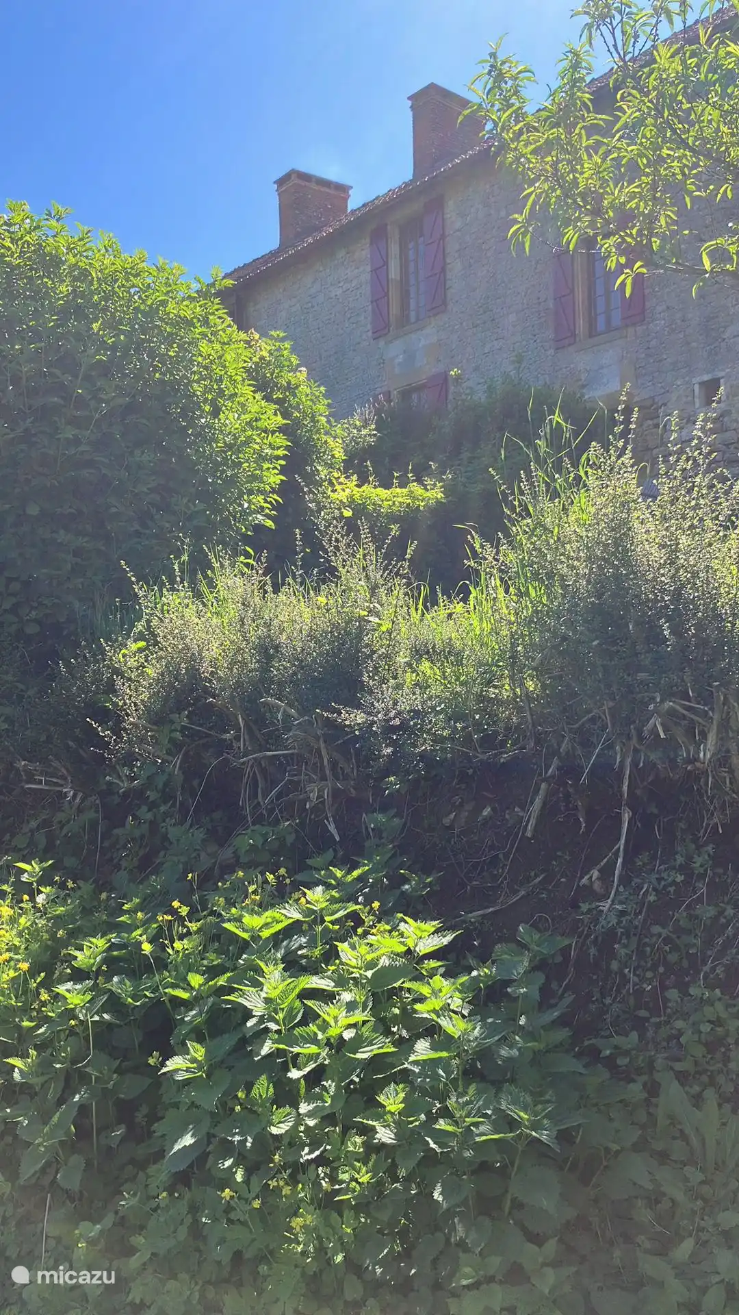 Rückseite des Hauses