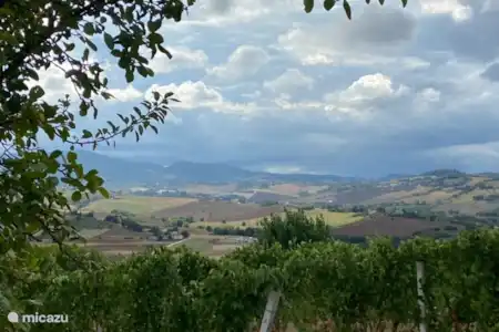 Dégustation de vins de son propre vignoble dans les caves locales