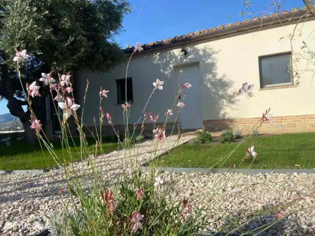 CASETTA 4 pers. Casa Sette Cipressi | Italie, Marche, Serra de’ Conti  - maison de vacances