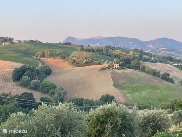 CASETTA 4 pers. Casa Sette Cipressi | Italie, Marche, Serra de’ Conti  - maison de vacances Vue depuis la Casa
