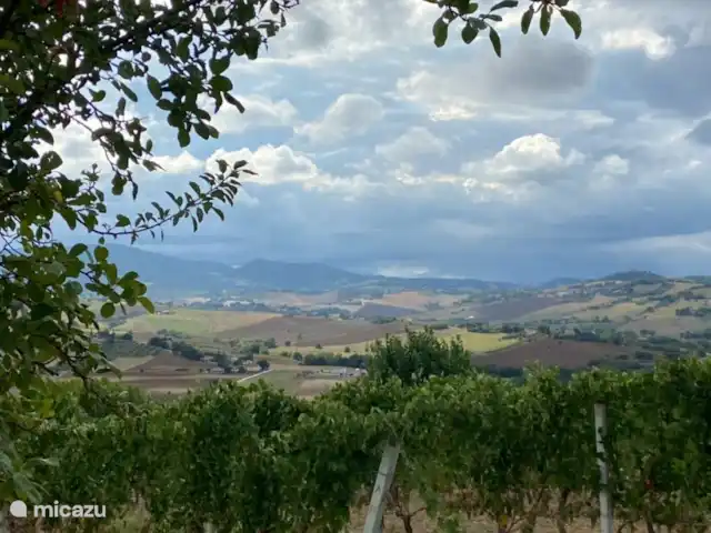 CASETTA 4 pers. Casa Sette Cipressi | Italie, Marche, Serra de’ Conti  - maison de vacances Vignobles à côté de la maison