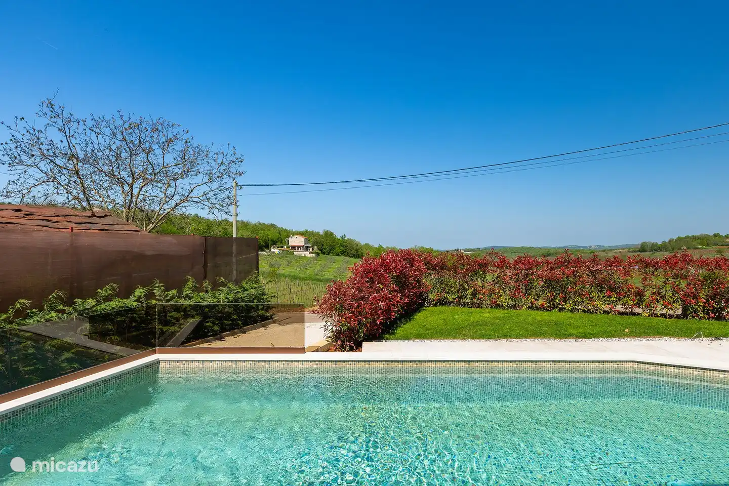 swimming pool with a view