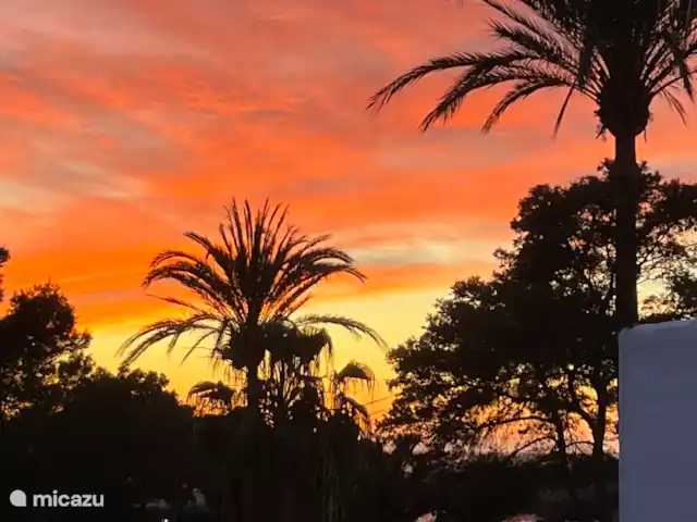Location de Vacances Îles Baléares, Espagne, appartement - Appartement spacieux à Cala Tarida