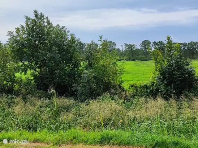 Chalet en el verde en Países Bajos, Frise, Drachtstercompagnie - chalet Vista