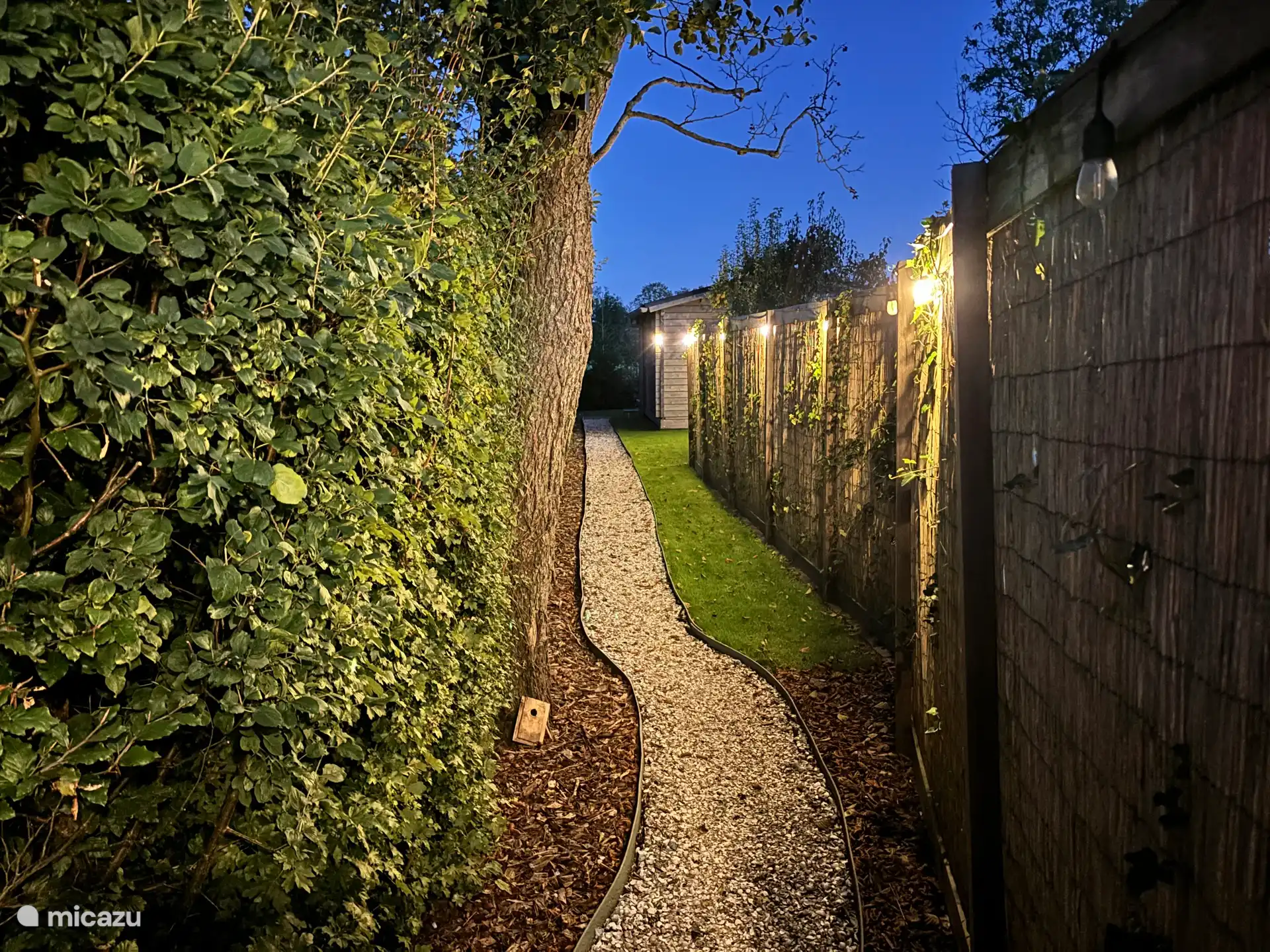 Chemin d’accès au chalet