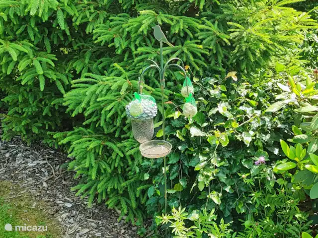 Chalet en el verde en Países Bajos, Frise, Drachtstercompagnie - chalet Afuera