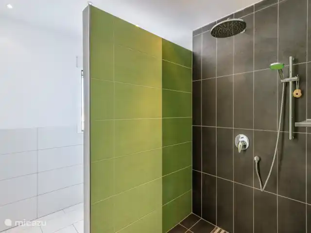 Casa La Gaviota huren in Spanje, Costa Blanca, Jávea - villa Badkamer souterrain