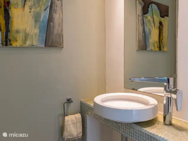 Casa La Gaviota huren in Spanje, Costa Blanca, Jávea - villa wastafel bij toilet