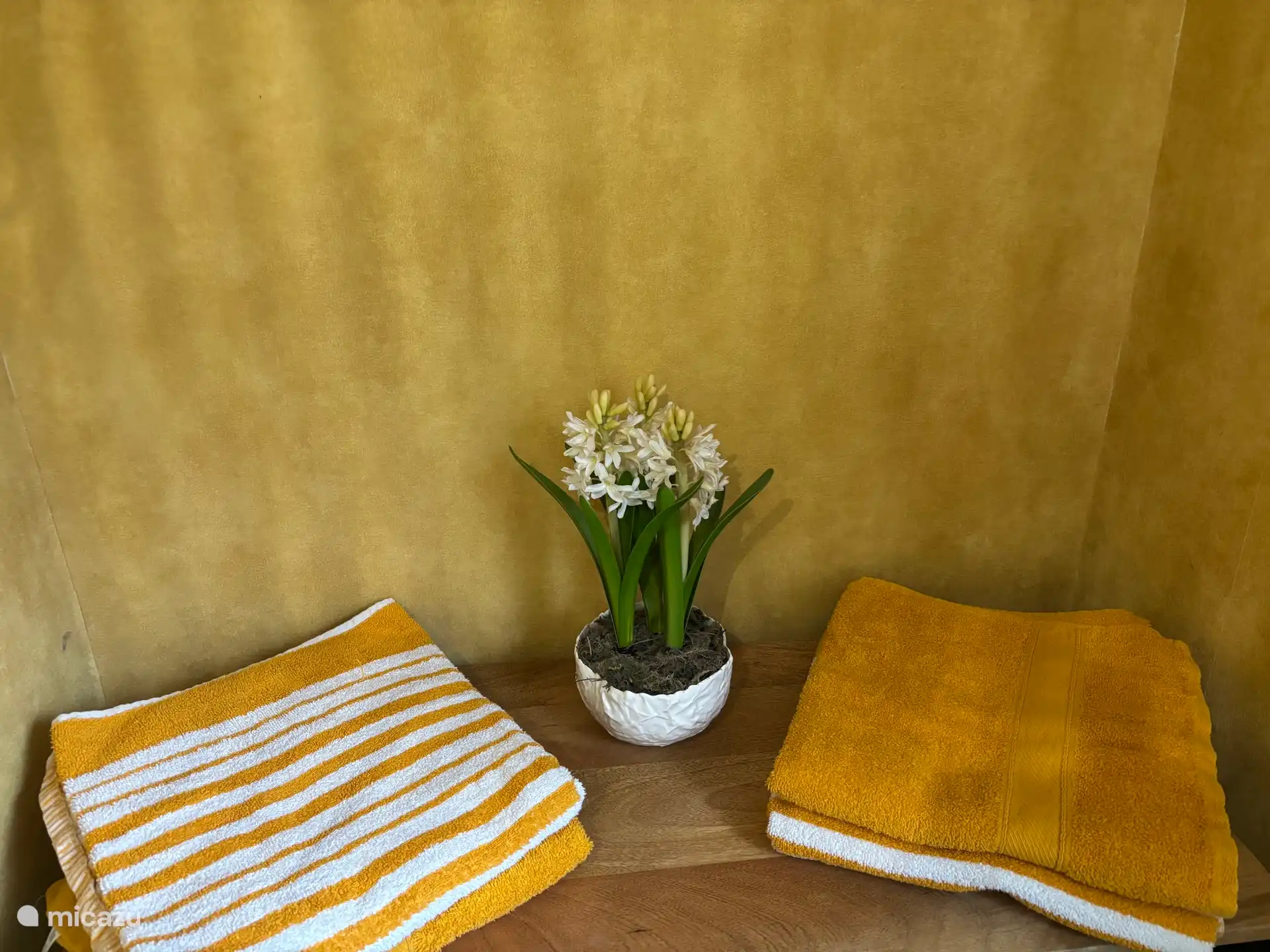 Handtuch zum Mieten für 4€