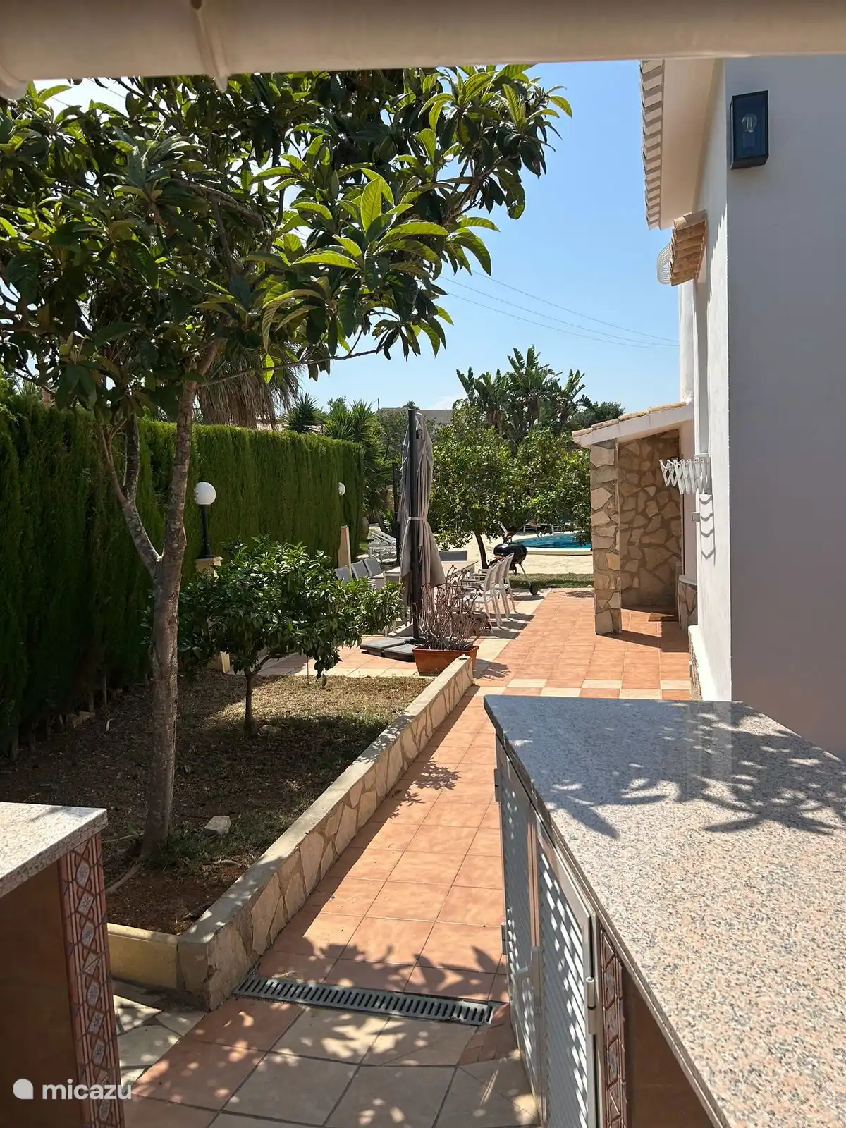 Terrace behind the house