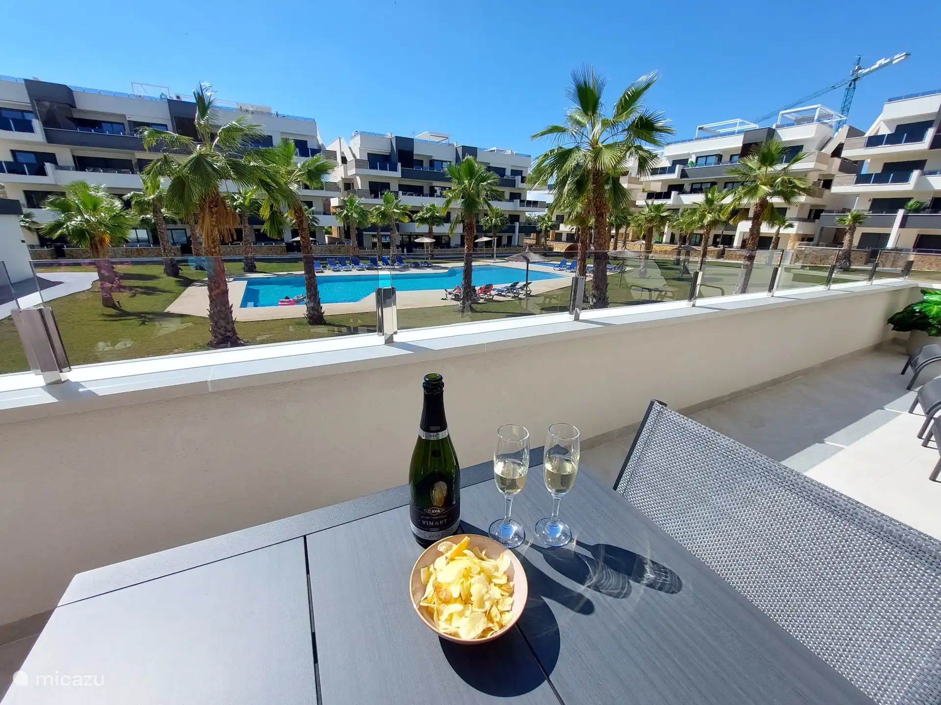 Blick auf den Pool mit Palmen im Garten.