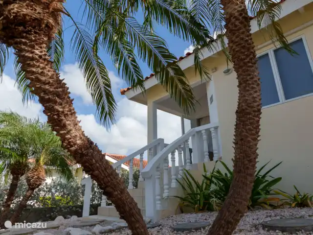 Maison familiale Jan Thiel à Marbella | Curaçao, Banda Ariba (est), Marbella Estate - villa Jardin tropical