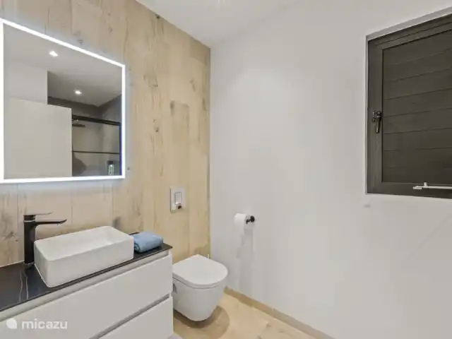 Dolce Vita Beach - Waterfront C huren in Curaçao, Banda Ariba (oost), Jan Sofat - bungalow Prettige badkamer met douche