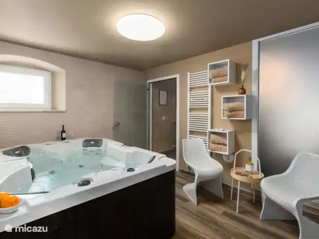 Villa Anabel | Croatie, Istrie, Kastelir-Labinci - villa Jacuzzi