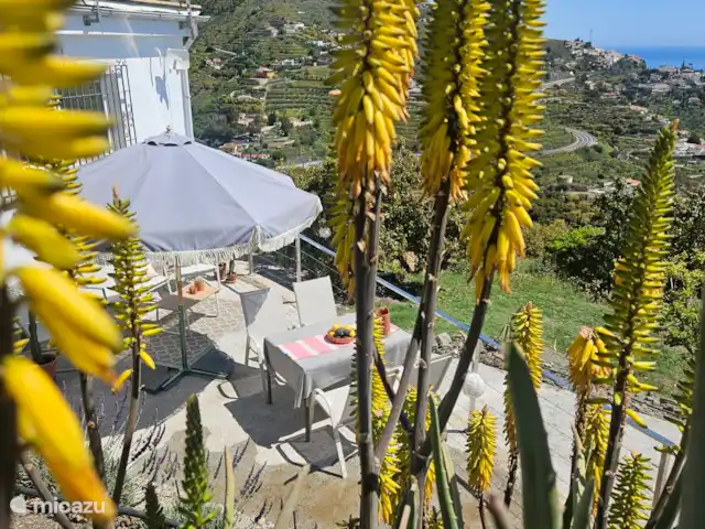 Location de Vacances Espagne, Costa Tropical, Almuñécar, maison de vacances - Balcón de la Loma