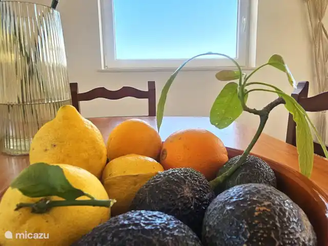 Location de Vacances Espagne, Costa Tropical, Almuñécar, maison de vacances - Balcón de la Loma