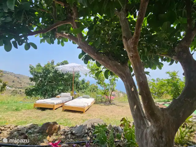 Location de Vacances Espagne, Costa Tropical, Almuñécar, maison de vacances - Balcón de la Loma