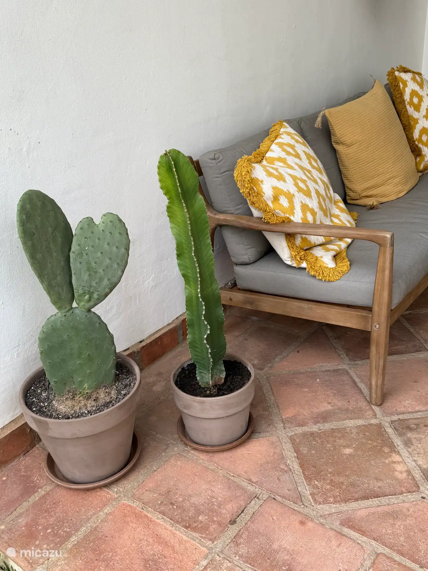 , um die Terrasse zu verschönern