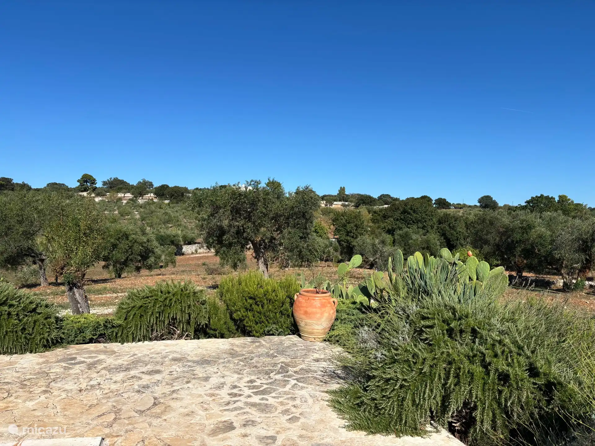 Alrededores y vistas junto a la piscina 