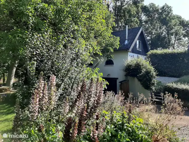 casa vacacional en Países Bajos, Güeldres, Dodewaard – La nuez diminuta Vista frontal
