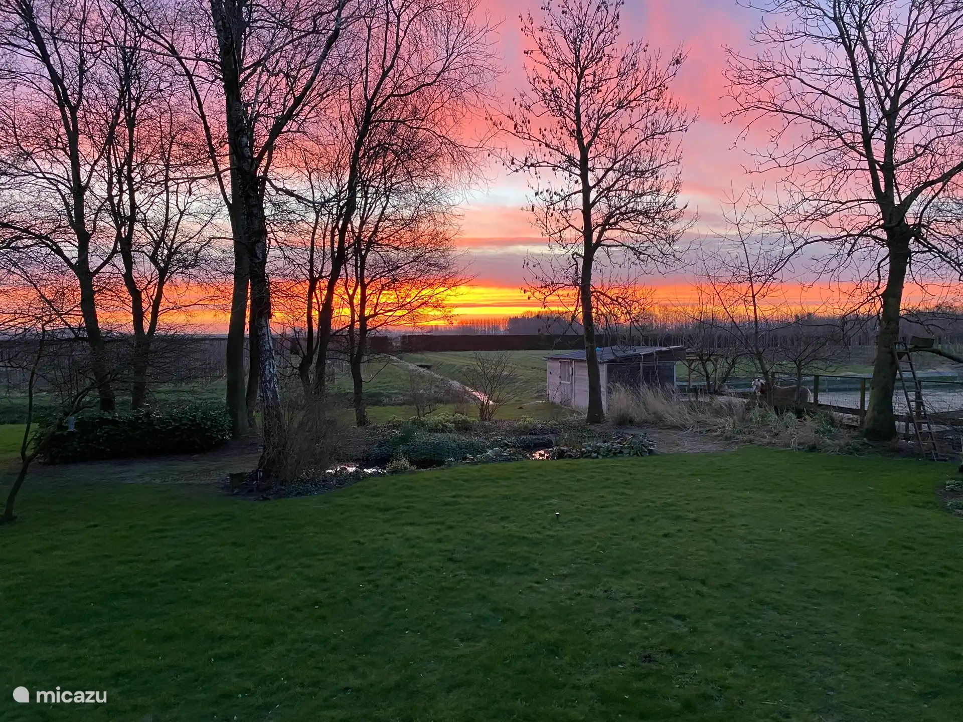 Sonnenaufgang im Winter