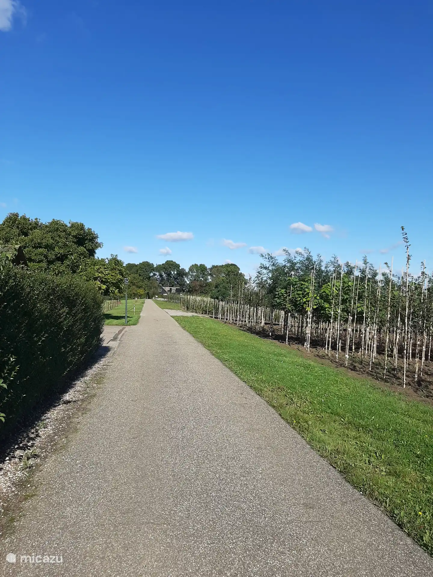 Der Hiense-Holzpfad entlang der Tiny Walnut.