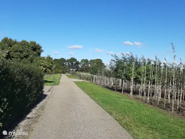 casa vacacional en Países Bajos, Güeldres, Dodewaard – La nuez diminuta El camino de zuecos Hiense a lo largo de The Tiny Walnut.