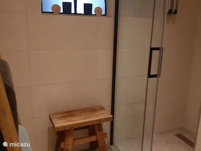 casa vacacional en Países Bajos, Güeldres, Dodewaard – La nuez diminuta Ducha de lluvia