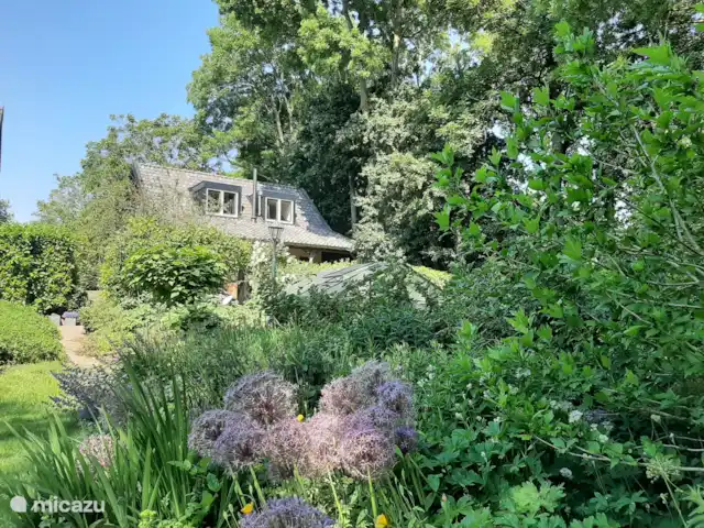 casa vacacional en Países Bajos, Güeldres, Dodewaard – La nuez diminuta Vista trasera desde nuestro jardín.