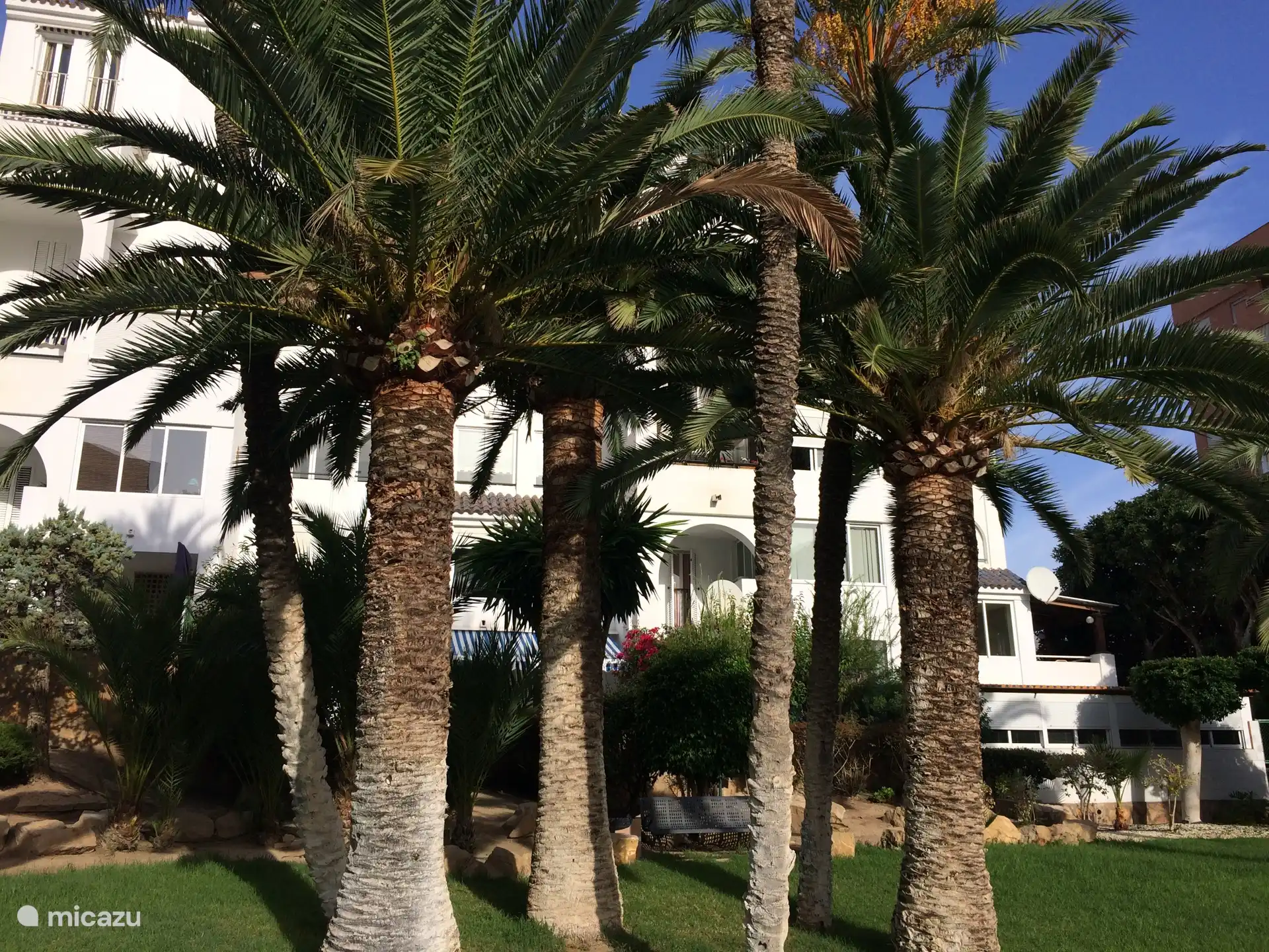 Complexe Casa Blanca et jardin