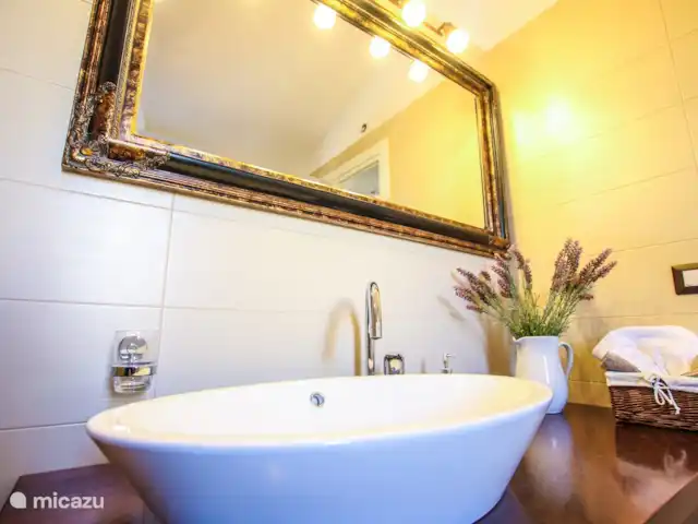 Villa Elizabet en Croacia, Istria, Kastelir-Labinci - villa baño